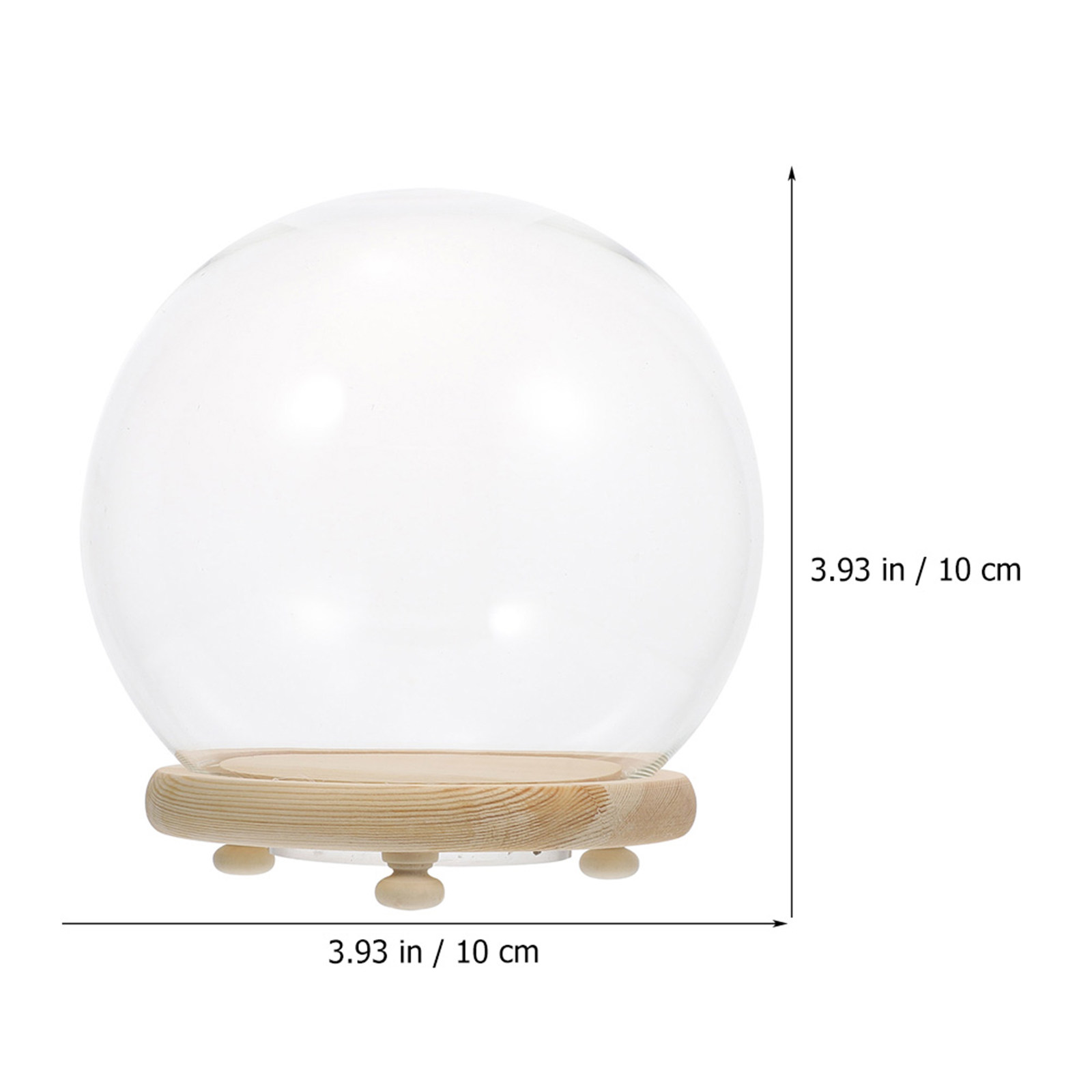 Clear Glass Dome Display Case  - Plastic Dome Clear บทวิจารณ์และราคา