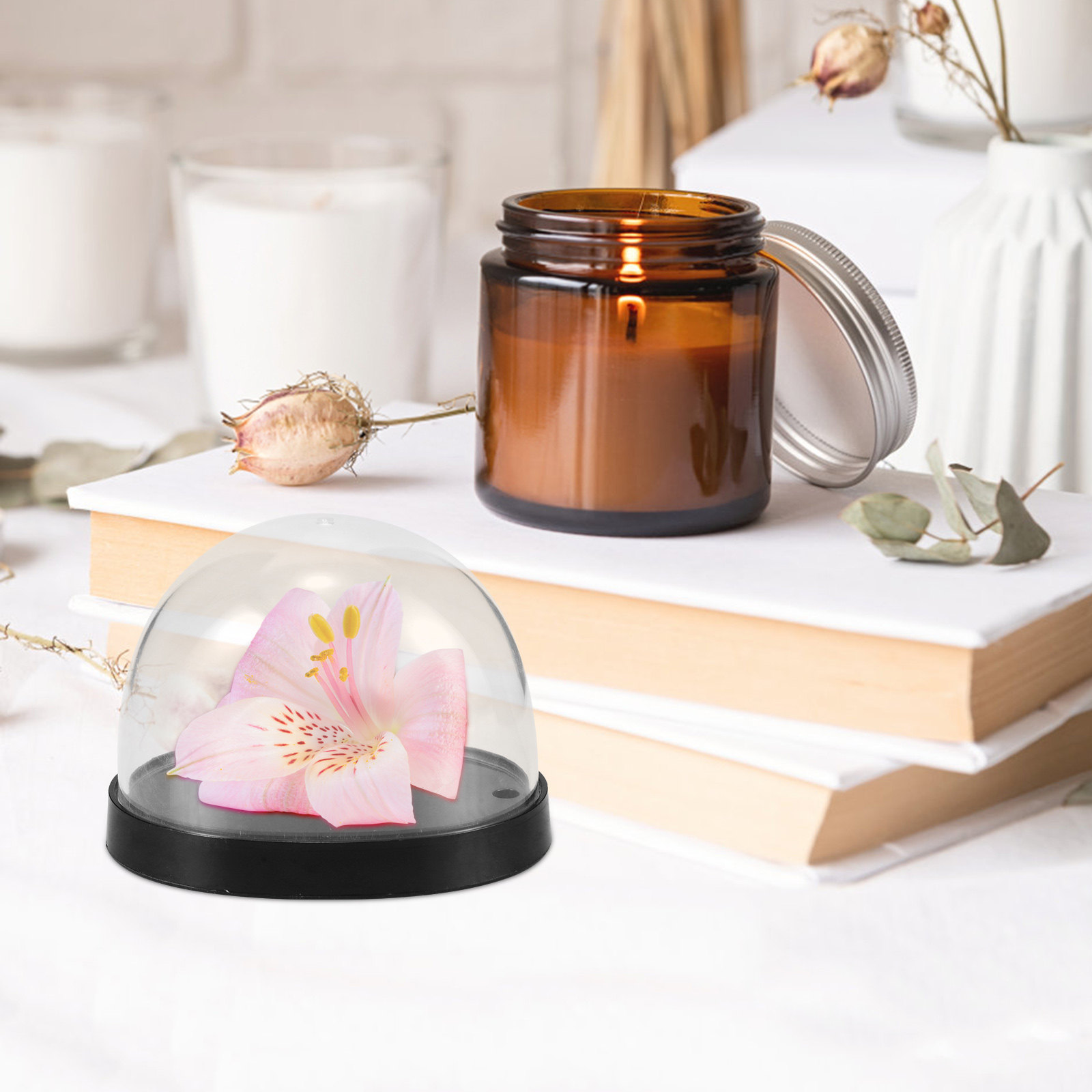 5Sets Glass Cloche Dome High T - Plastic Dome Clear บทวิจารณ์และราคา