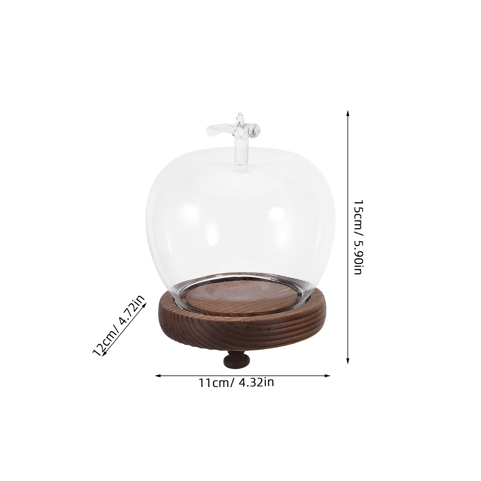 Glass Dome Cloche Clear Displa - Plastic Dome Clear บทวิจารณ์และราคา