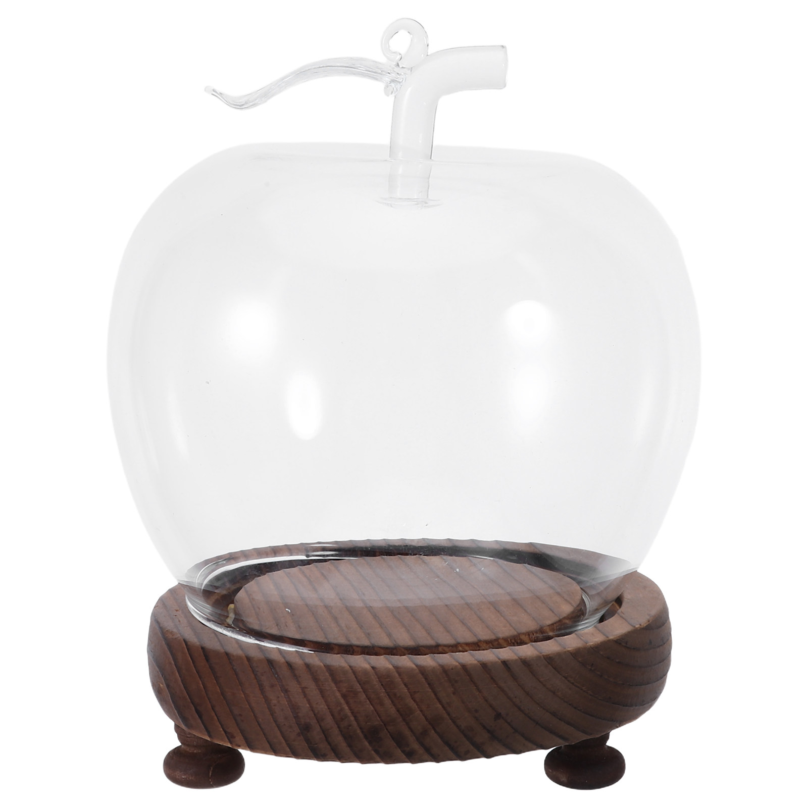 Glass Dome Cloche Clear Displa - Plastic Dome Clear บทวิจารณ์และราคา