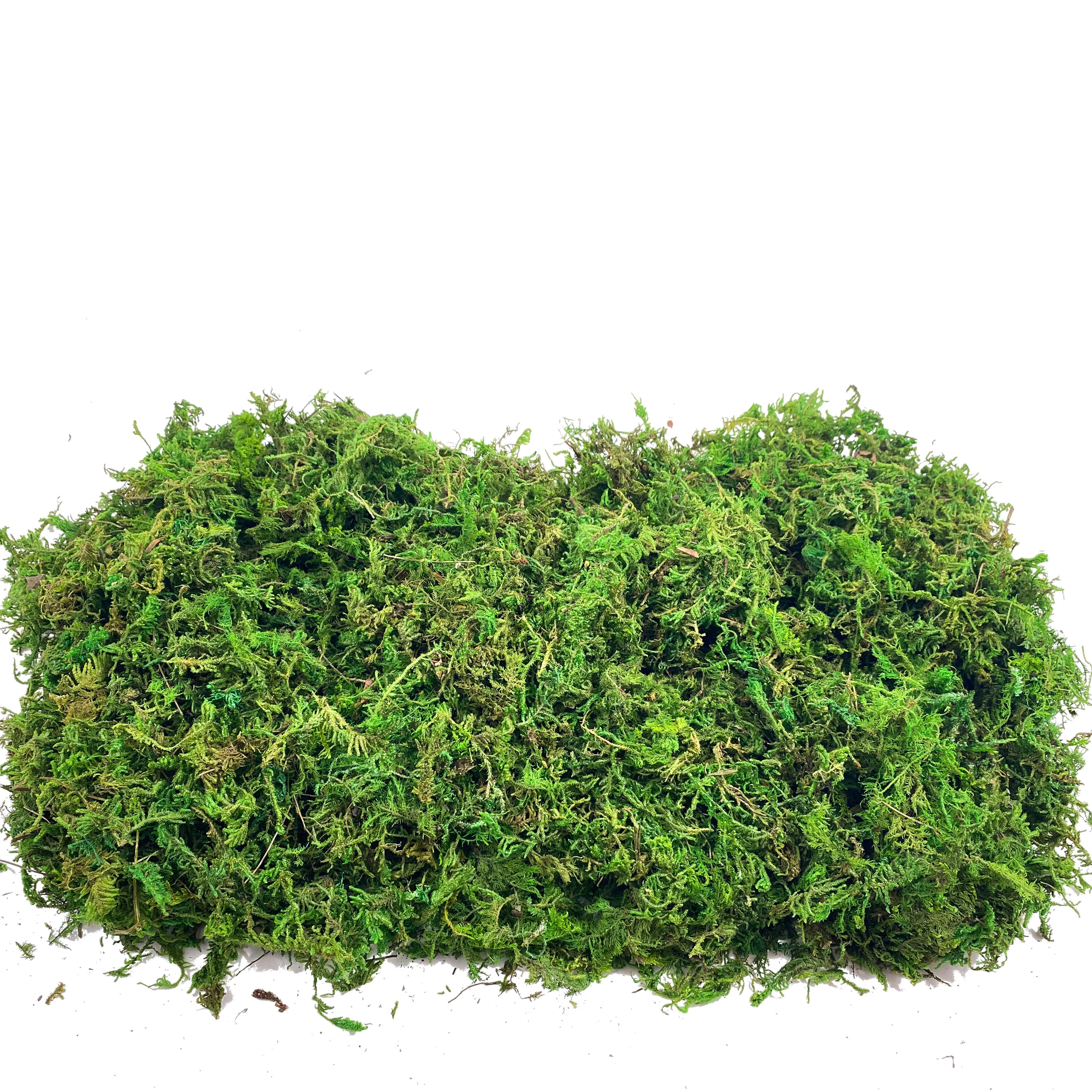 Fake Moss Artificial Moss for  - Sphagnum Moss Dry บทวิจารณ์และราคา