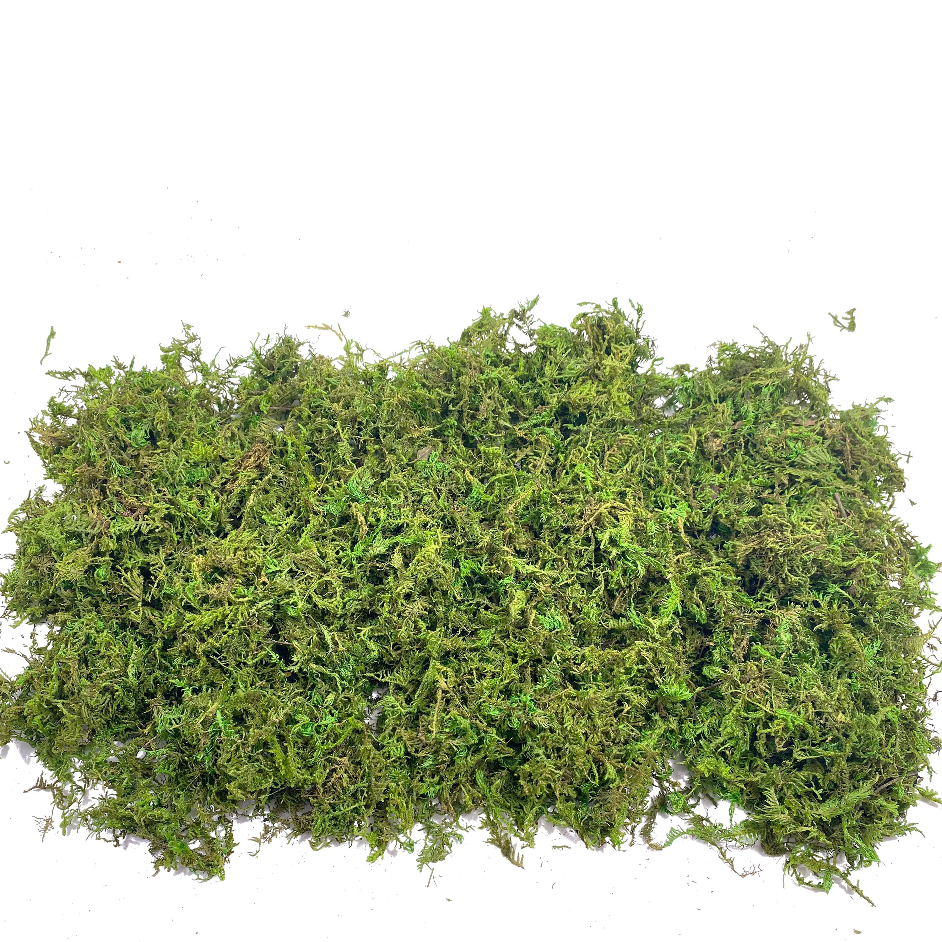 Fake Moss Artificial Moss for  - Sphagnum Moss Dry บทวิจารณ์และราคา