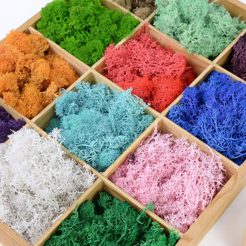 20/40g Artificial Green Plants - Sphagnum Moss Dry บทวิจารณ์และราคา
