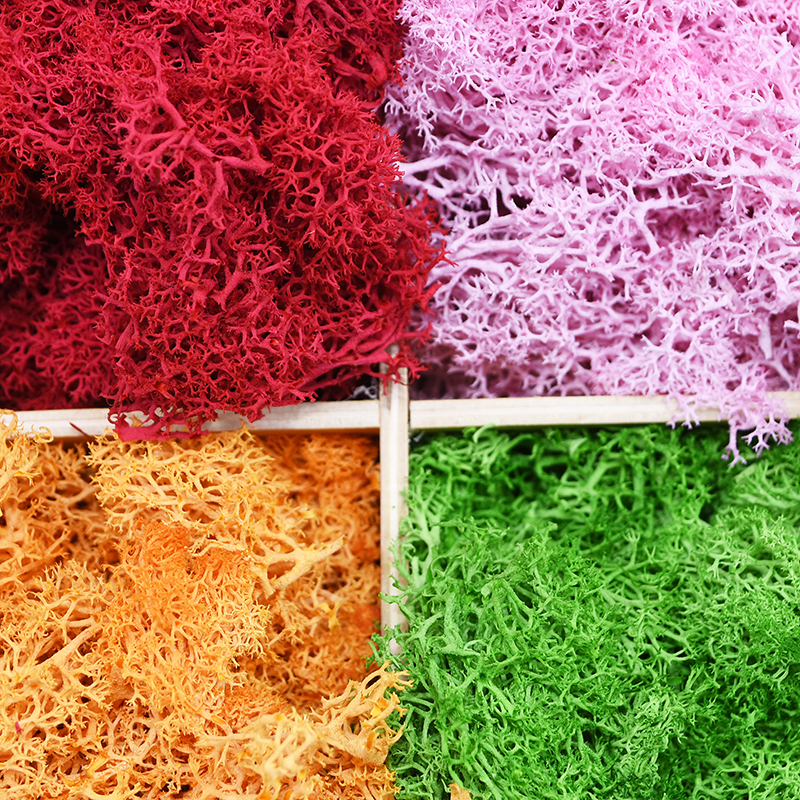 20/40g Artificial Green Plants - Sphagnum Moss Dry บทวิจารณ์และราคา