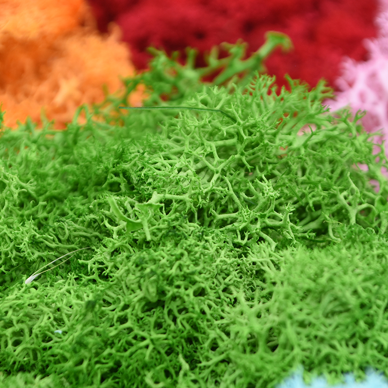 20/40g Artificial Green Plants - Sphagnum Moss Dry บทวิจารณ์และราคา