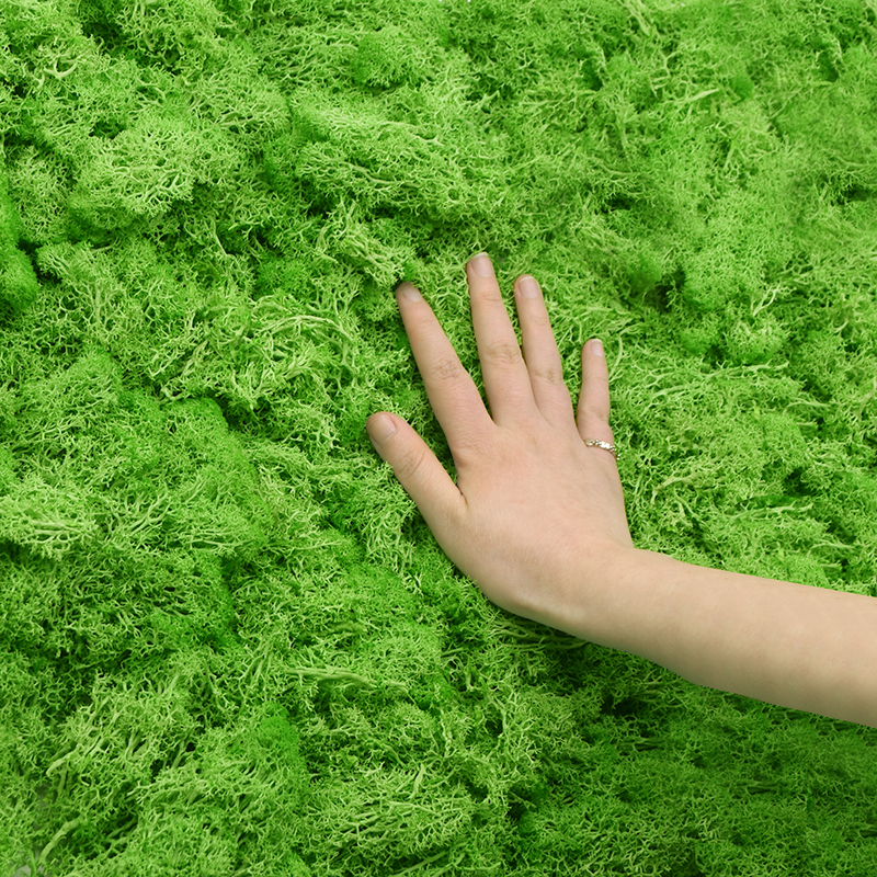 20/40g Artificial Green Plants - Sphagnum Moss Dry บทวิจารณ์และราคา