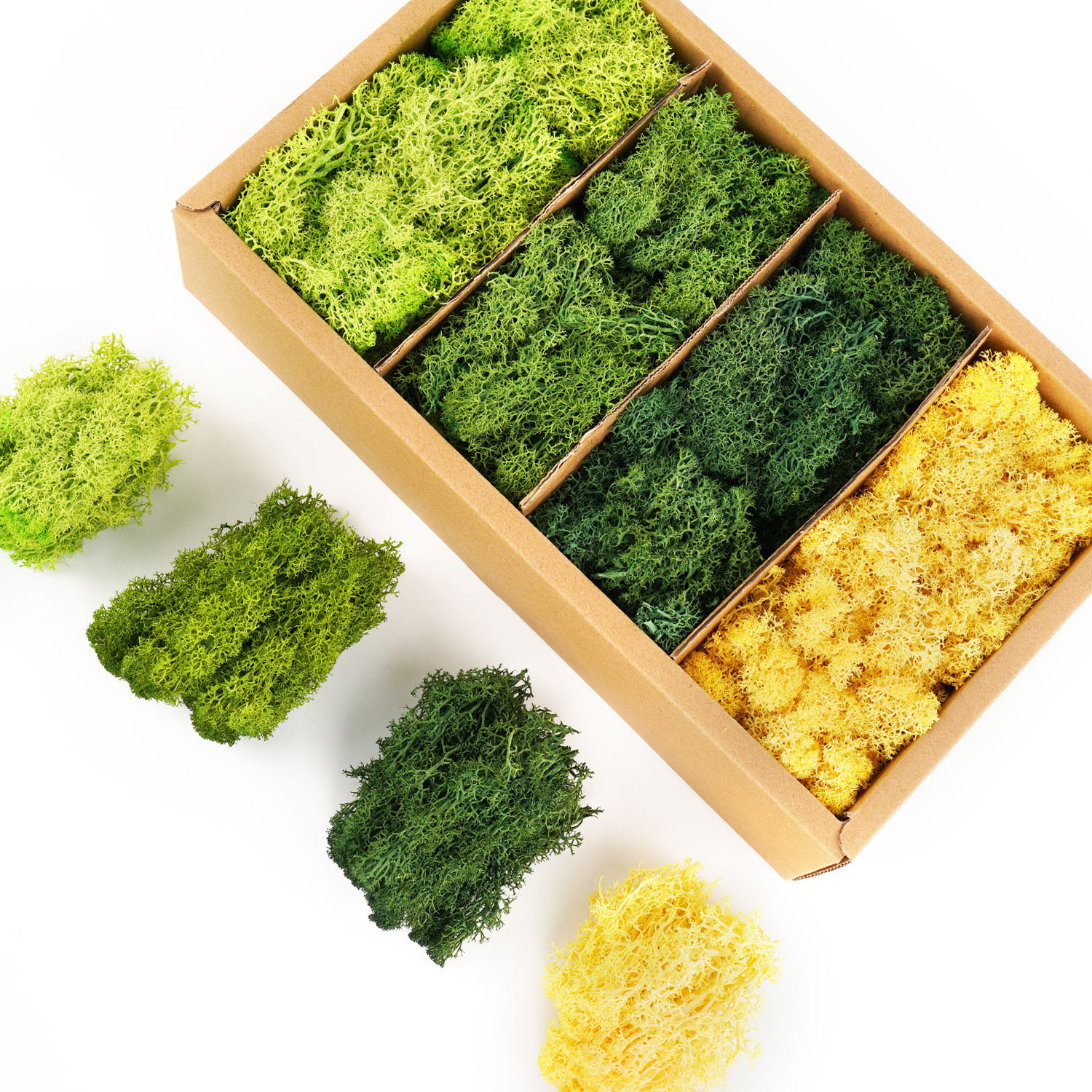 Artificial Green Plants Eterna - Sphagnum Moss Dry บทวิจารณ์และราคา