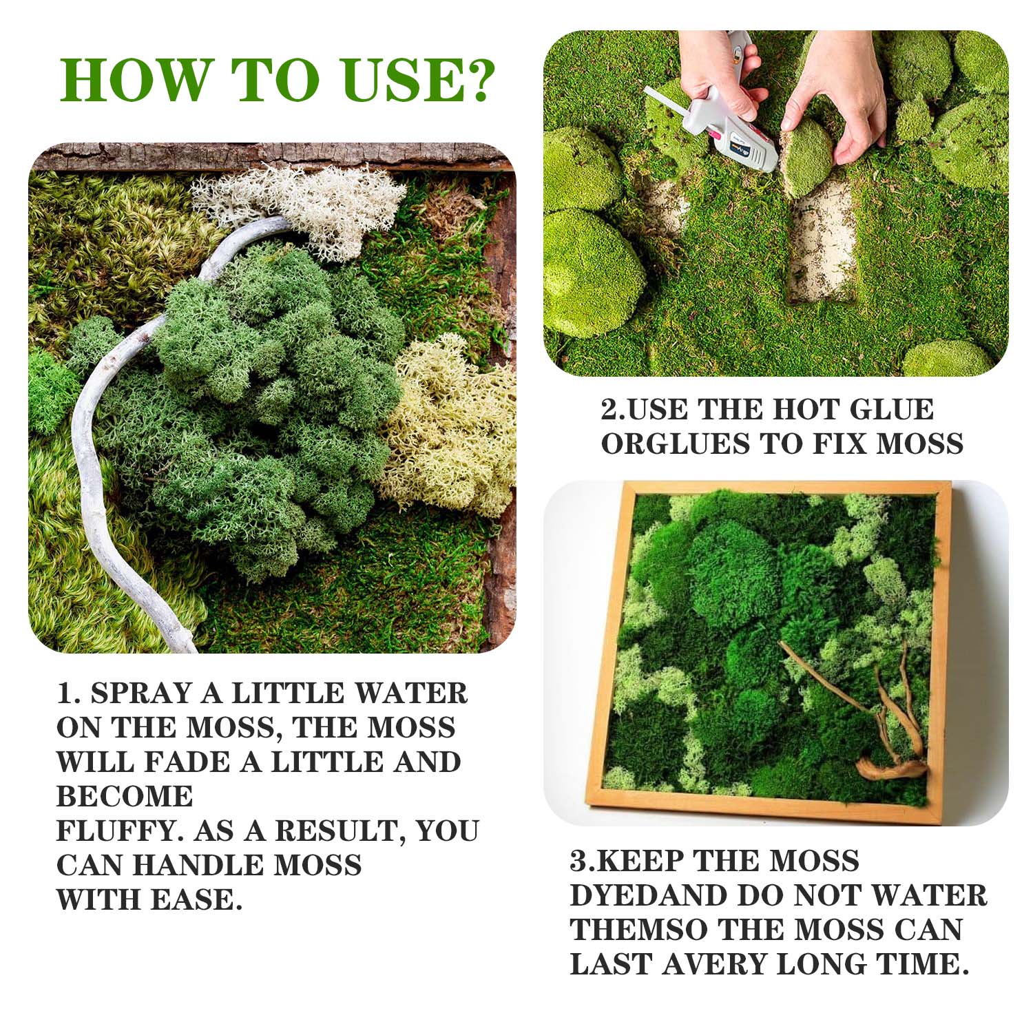 Artificial Green Plants Eterna - Sphagnum Moss Dry บทวิจารณ์และราคา