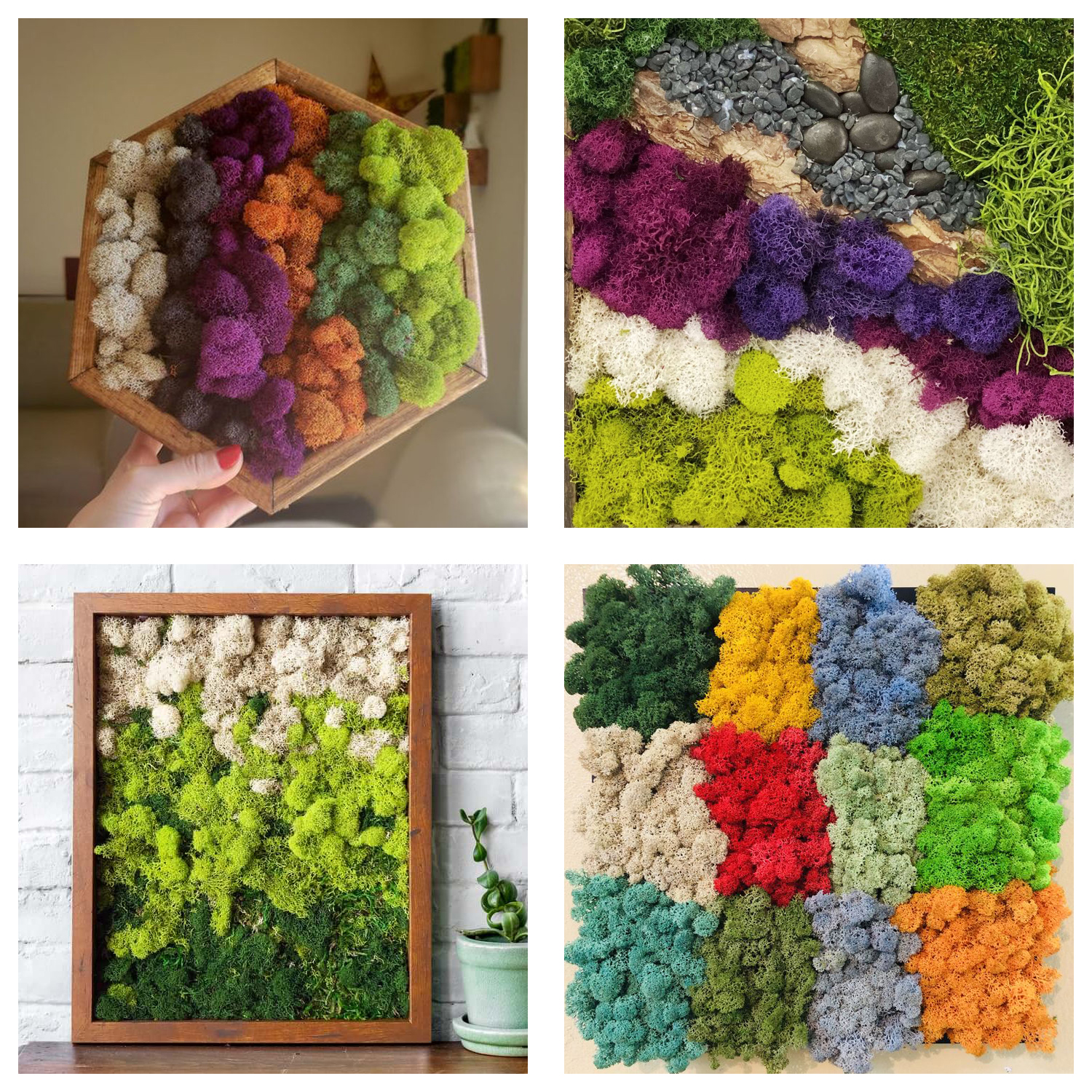 Artificial Green Plants Eterna - Sphagnum Moss Dry บทวิจารณ์และราคา