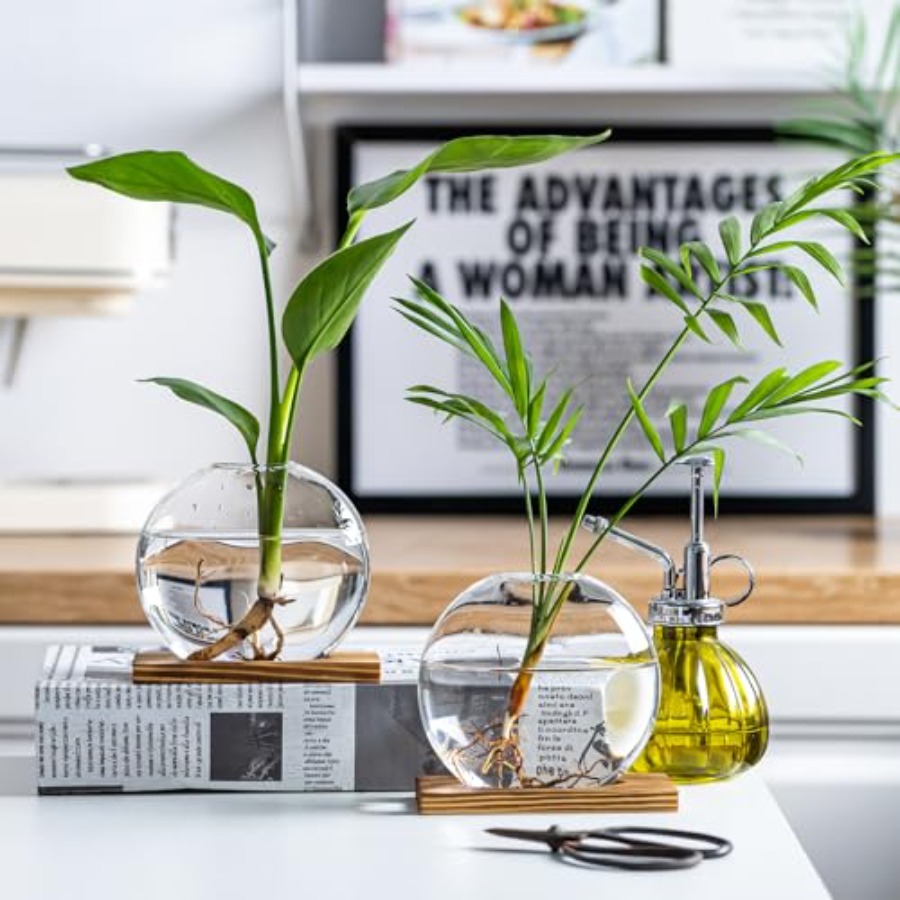 Glass Planter Propagation Stat - Propagation Station Vase บทวิจารณ์และราคา