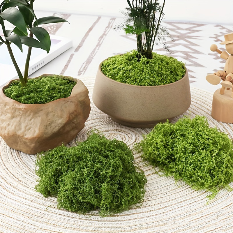 20g/0.7oz Artificial Garden Fa - Sphagnum Moss Dry บทวิจารณ์และราคา