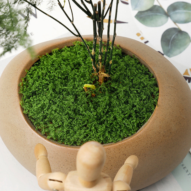 20g/0.7oz Artificial Garden Fa - Sphagnum Moss Dry บทวิจารณ์และราคา