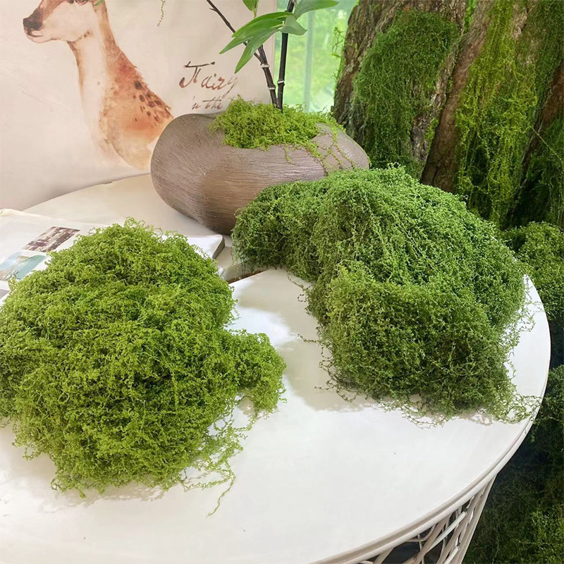 20g/0.7oz Artificial Garden Fa - Sphagnum Moss Dry บทวิจารณ์และราคา
