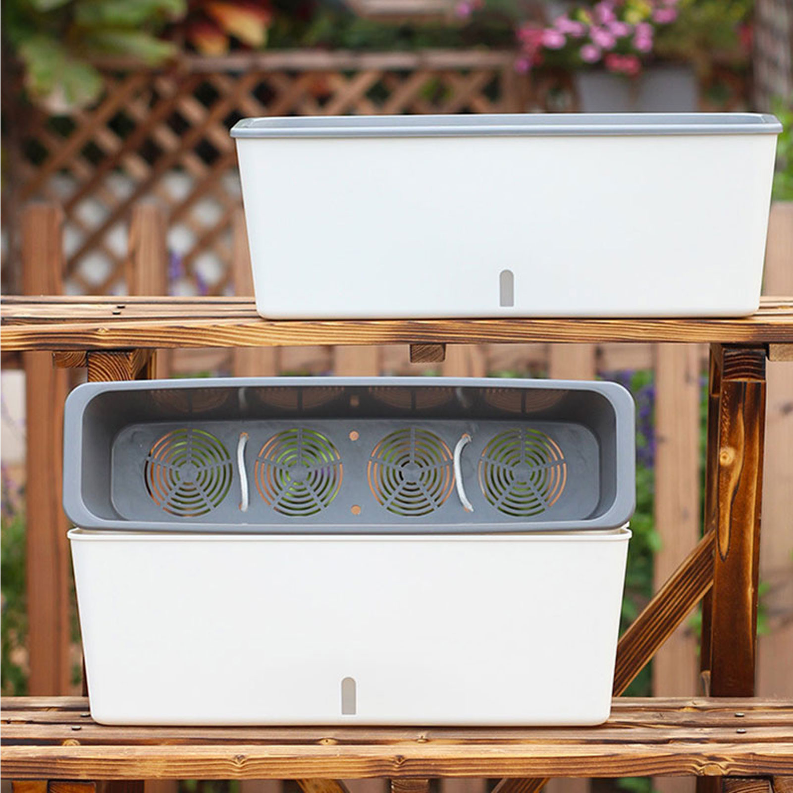 Self-Watering Planter Pots wit - Self Watering Insert บทวิจารณ์และราคา