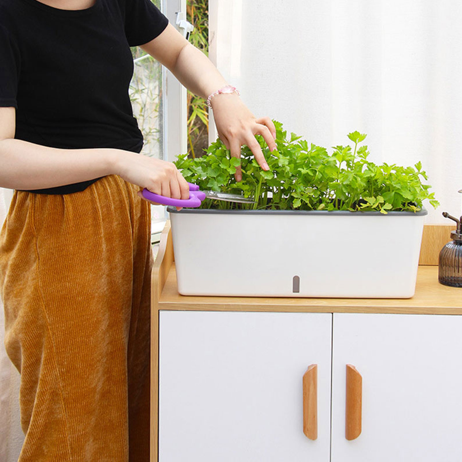 Self-Watering Planter Pots wit - Self Watering Insert บทวิจารณ์และราคา
