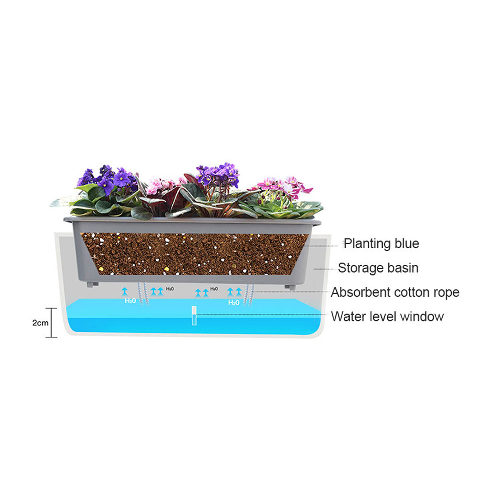 Self-Watering Planter Pots wit - Self Watering Insert บทวิจารณ์และราคา