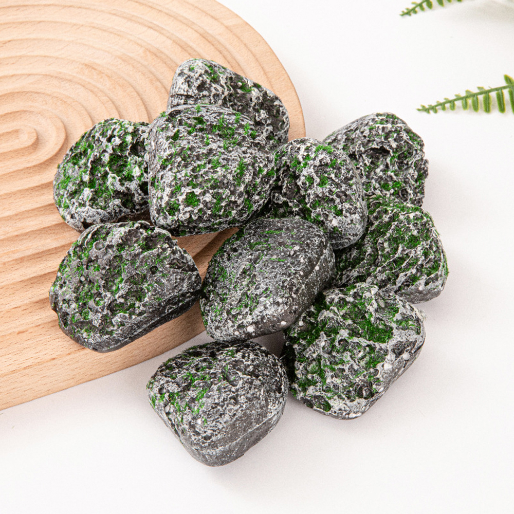 10PCS Mossy Gray Stone Multi-s - Sphagnum Moss Dry บทวิจารณ์และราคา