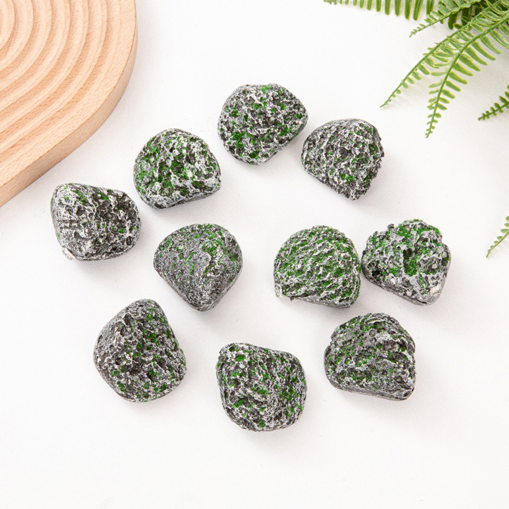 10PCS Mossy Gray Stone Multi-s - Sphagnum Moss Dry บทวิจารณ์และราคา