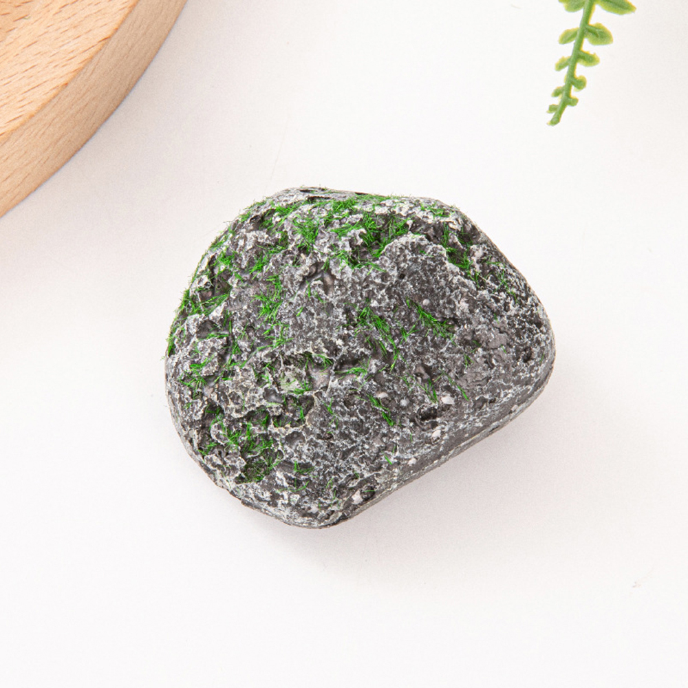 10PCS Mossy Gray Stone Multi-s - Sphagnum Moss Dry บทวิจารณ์และราคา