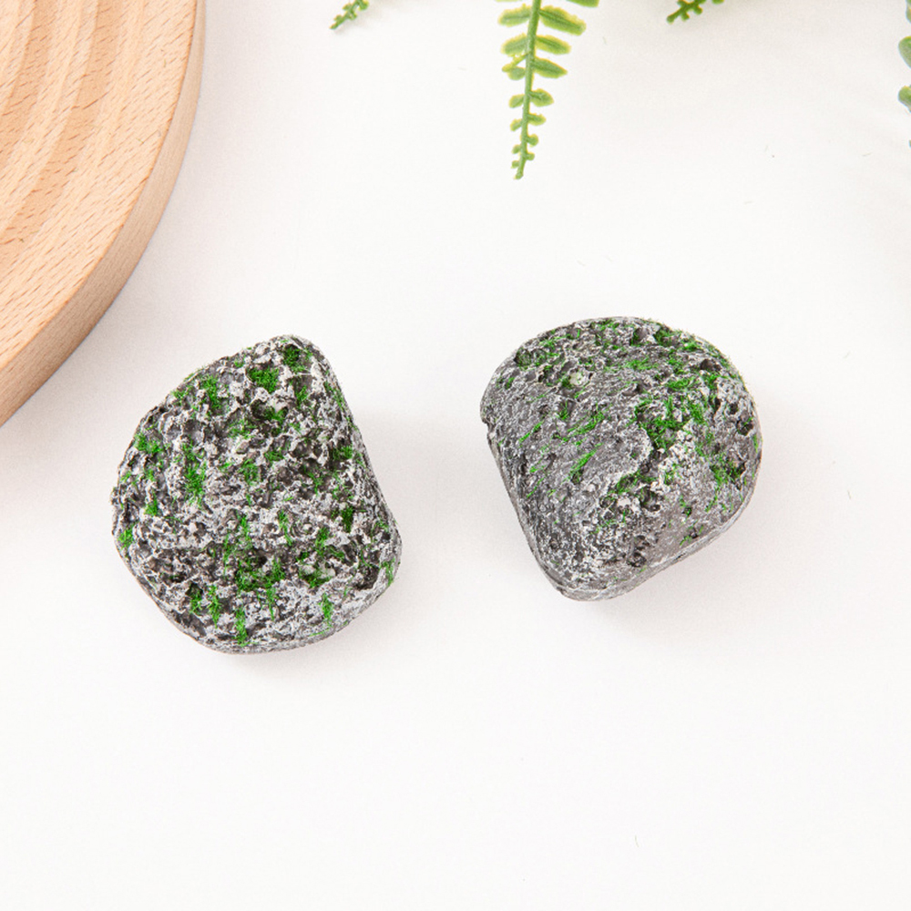 10PCS Mossy Gray Stone Multi-s - Sphagnum Moss Dry บทวิจารณ์และราคา