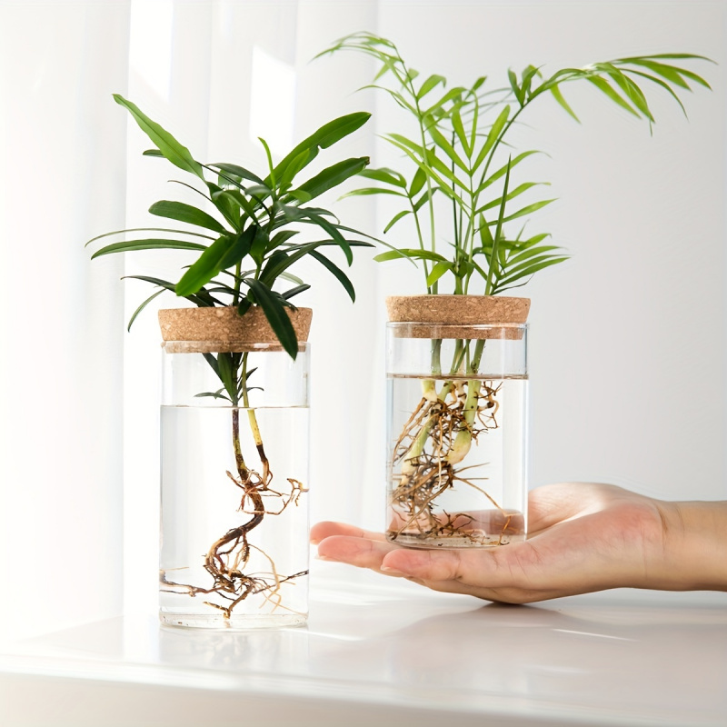 1pc, Hydroponics Plants Deskto - Propagation Station Vase บทวิจารณ์และราคา
