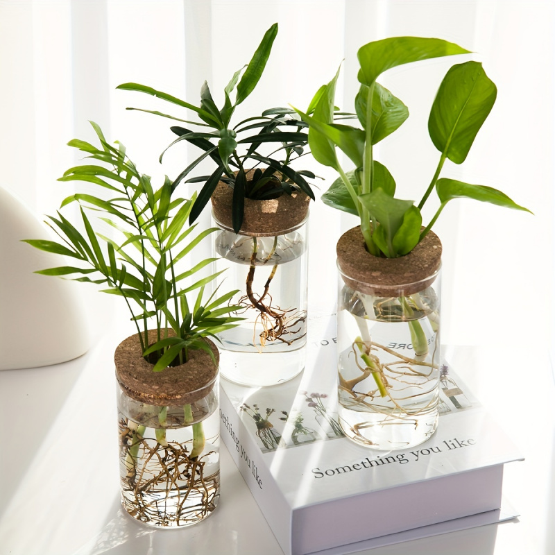 1pc, Hydroponics Plants Deskto - Propagation Station Vase บทวิจารณ์และราคา