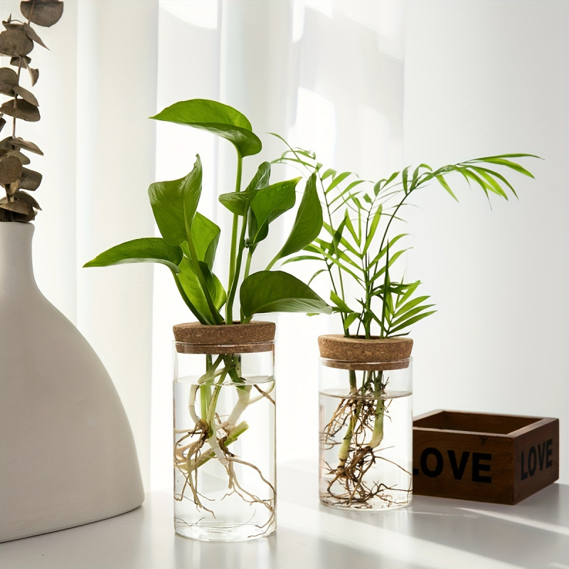 1pc, Hydroponics Plants Deskto - Propagation Station Vase บทวิจารณ์และราคา