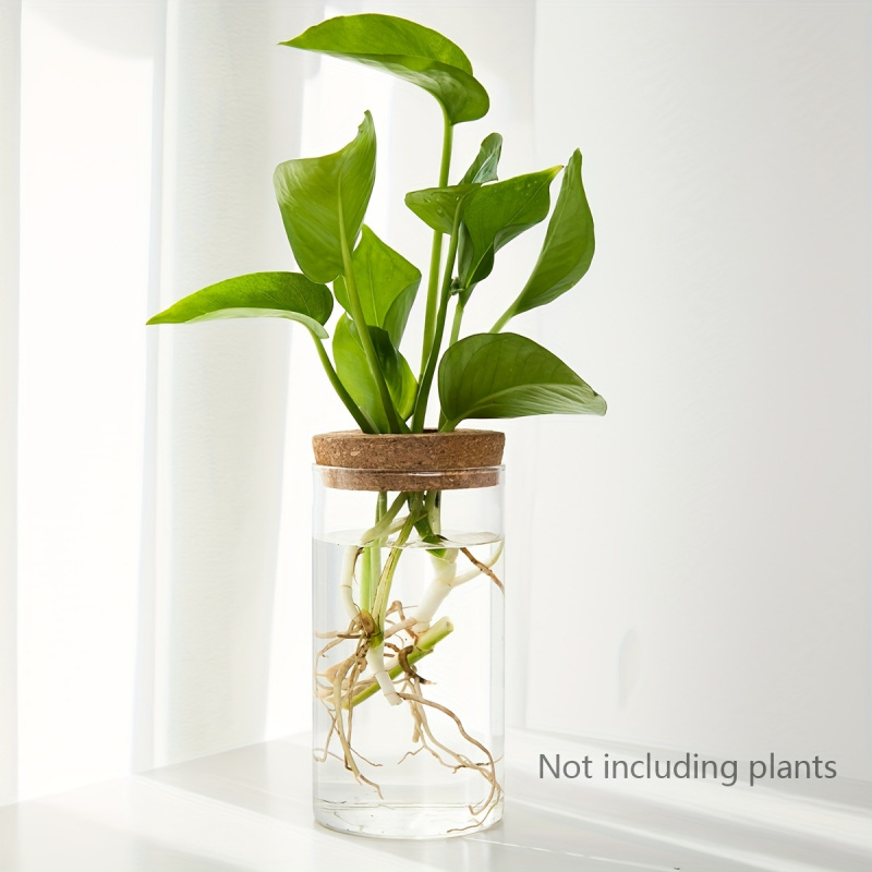 1pc, Hydroponics Plants Deskto - Propagation Station Vase บทวิจารณ์และราคา