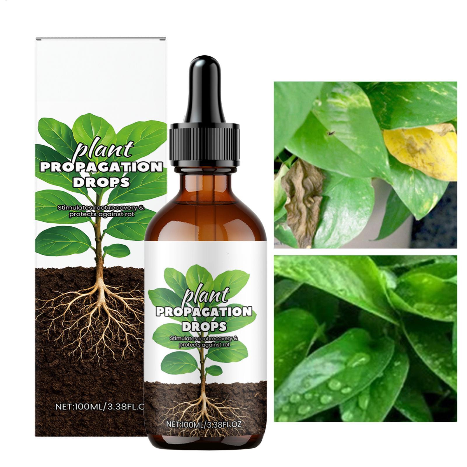 Root Booster 100ml Liquid Root - Root Stimulator Liquid บทวิจารณ์และราคา