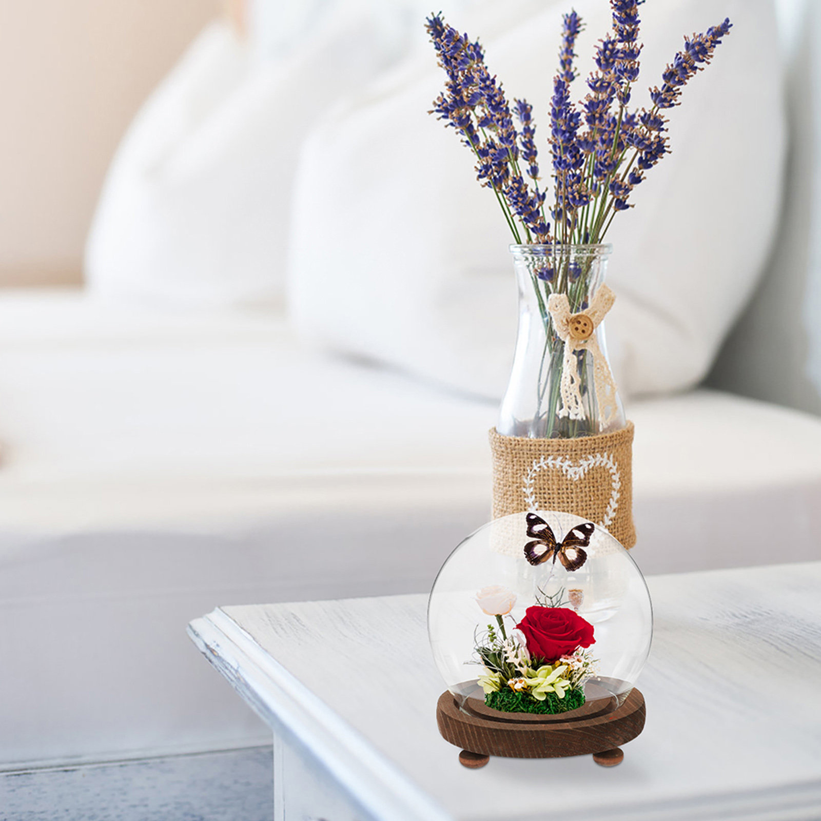 Spherical Glass Cover Ornament - Plastic Dome Clear บทวิจารณ์และราคา