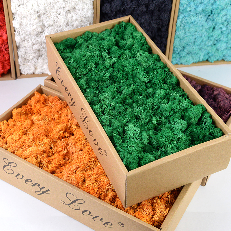 40/20g Artificial Immortal Mos - Sphagnum Moss Dry บทวิจารณ์และราคา