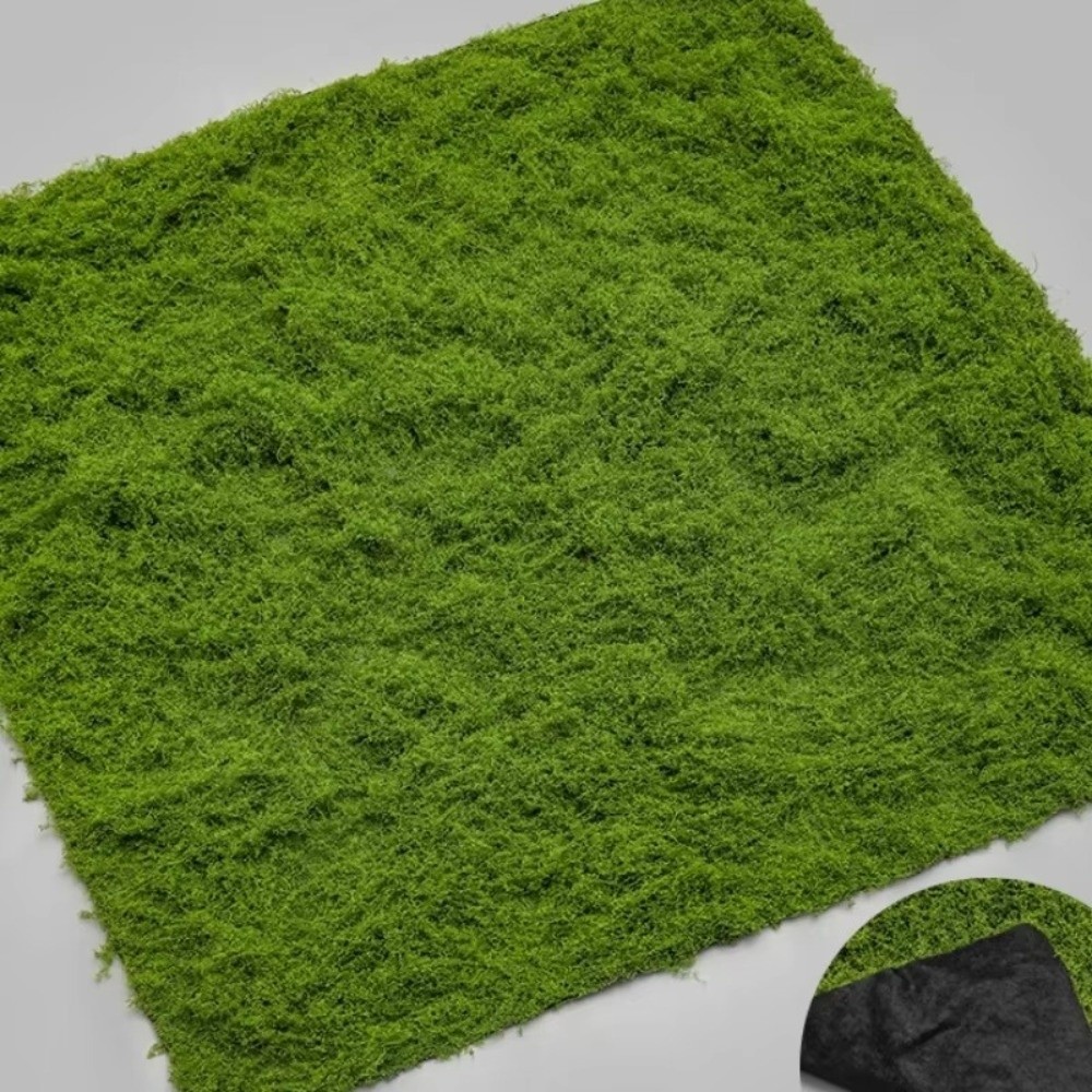 DIY Artificial Grass Rug Durab - Sphagnum Moss Dry บทวิจารณ์และราคา