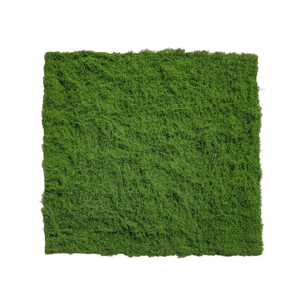 DIY Artificial Grass Rug Durab - Sphagnum Moss Dry บทวิจารณ์และราคา