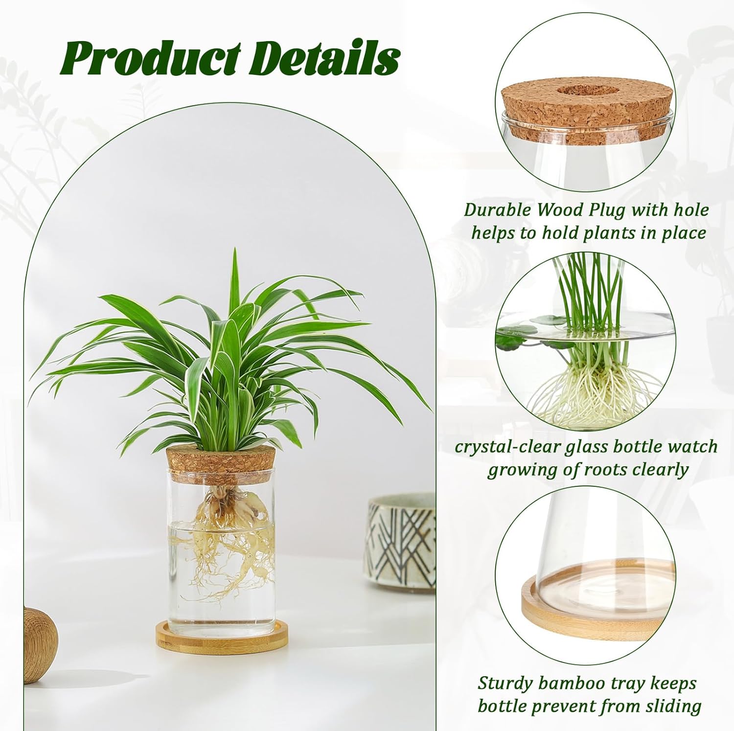 6 Pcs Plants Propagation Stati - Propagation Station Vase บทวิจารณ์และราคา