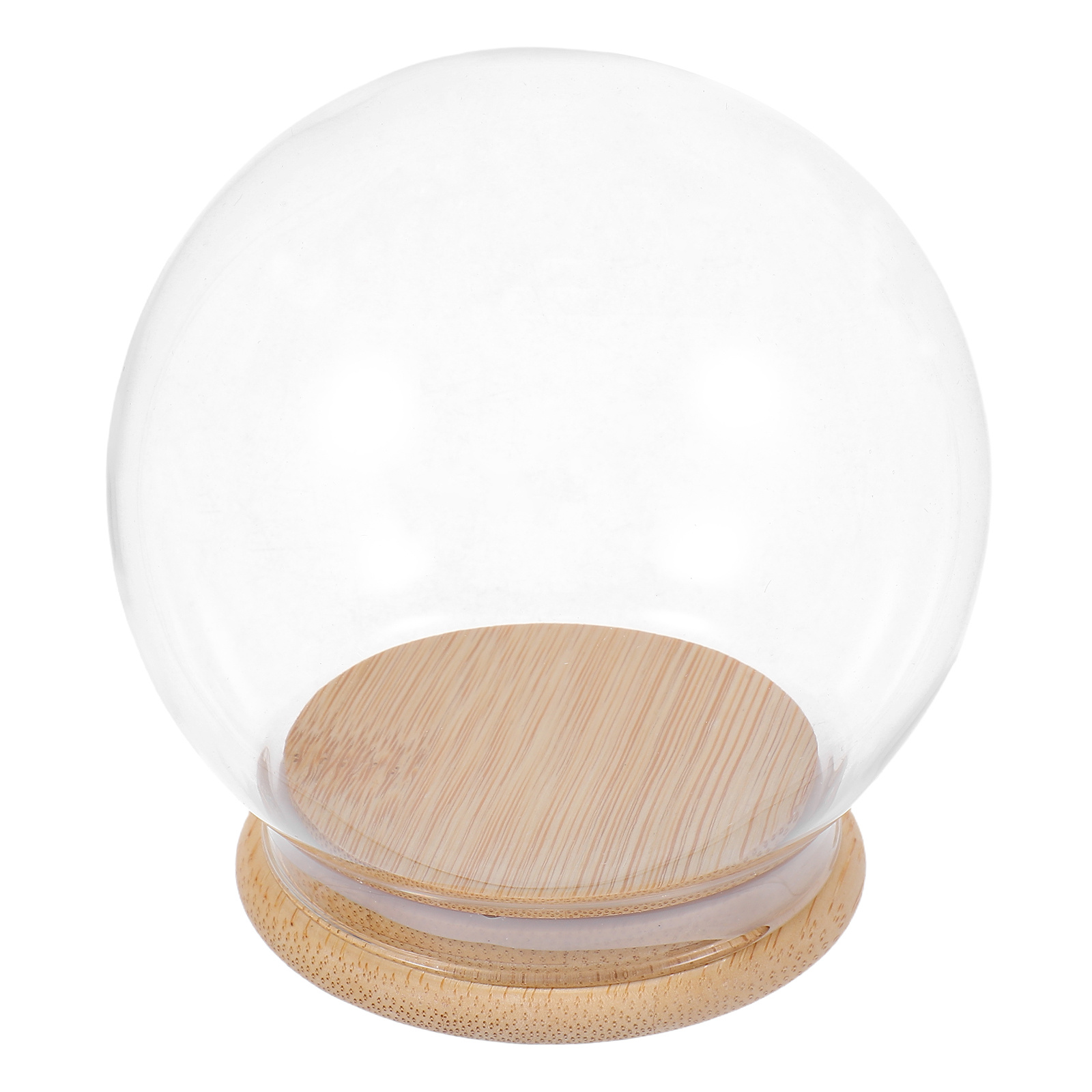 Glass Dome Eternal Flower Disp - Plastic Dome Clear บทวิจารณ์และราคา