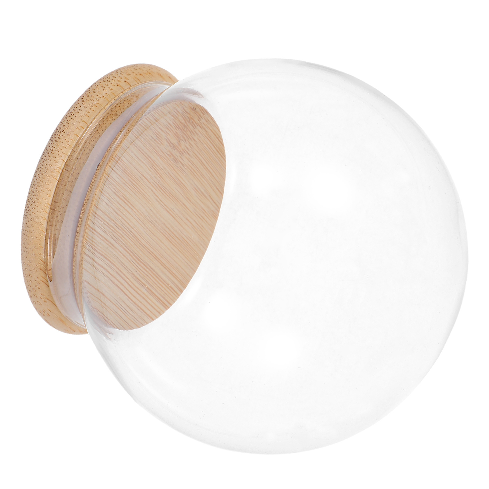 Glass Dome Eternal Flower Disp - Plastic Dome Clear บทวิจารณ์และราคา
