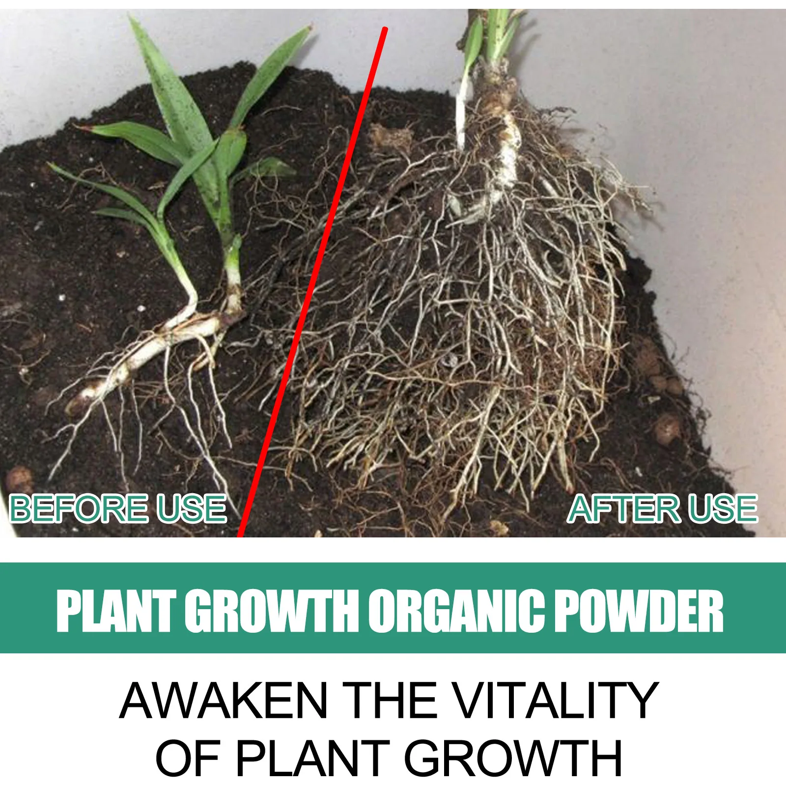 Fast Rooting Powder Plant Soil - Rooting Hormone Powder บทวิจารณ์และราคา
