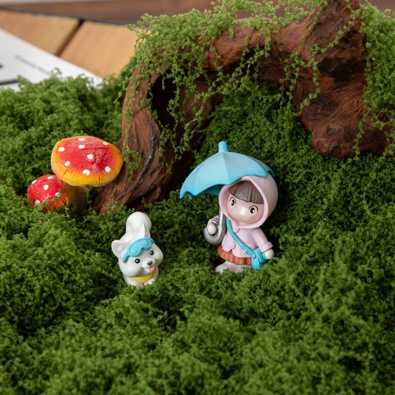 200g Eternal Life Moss DIY Cra - Sphagnum Moss Dry บทวิจารณ์และราคา