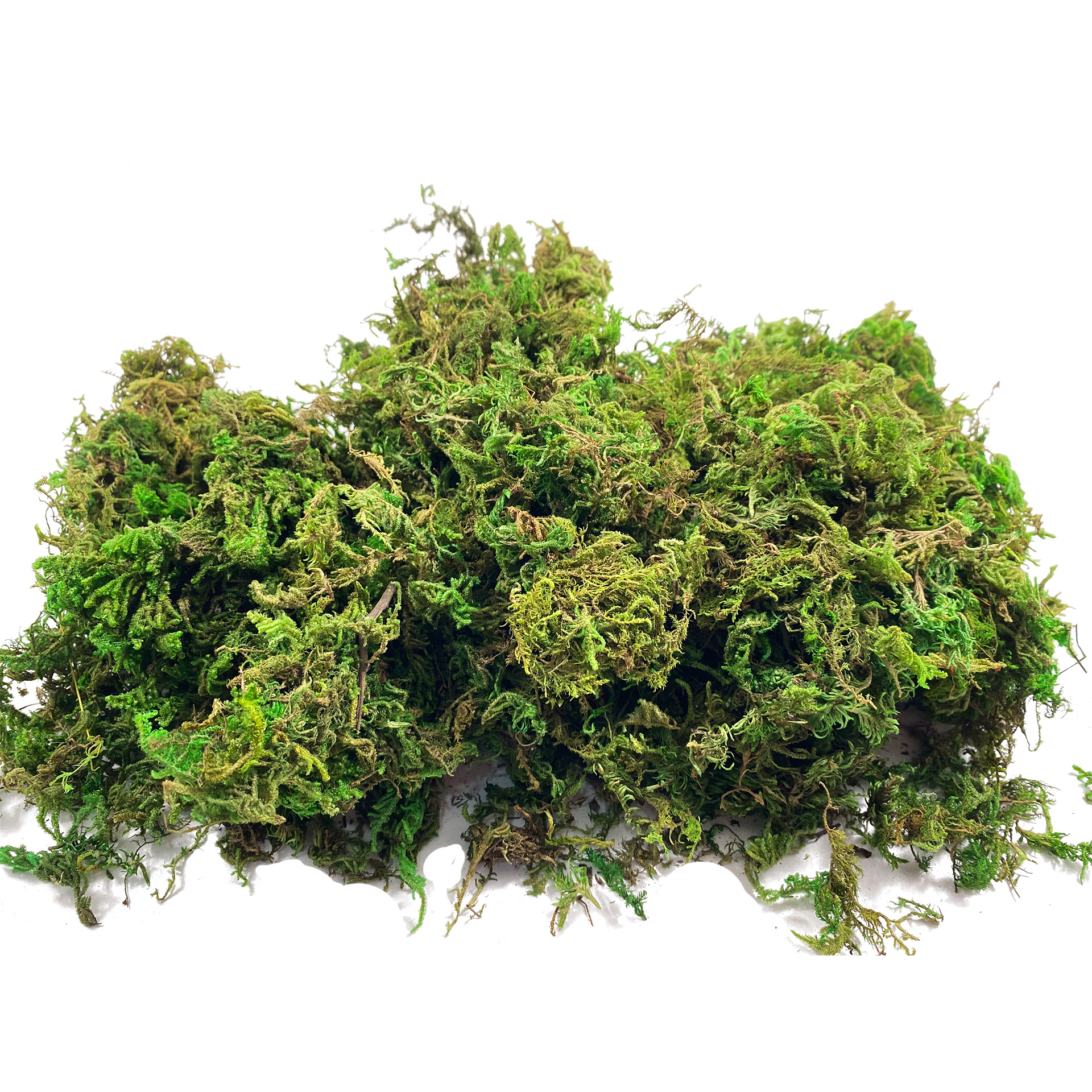 Artificial Fake Moss, Craft Mo - Sphagnum Moss Dry บทวิจารณ์และราคา