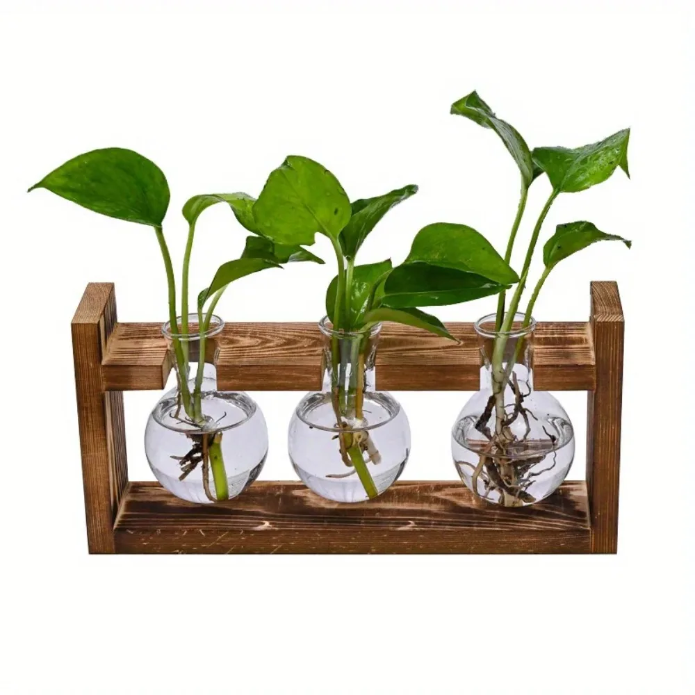 Tabletop Glass Planter Propaga - Propagation Station Vase บทวิจารณ์และราคา
