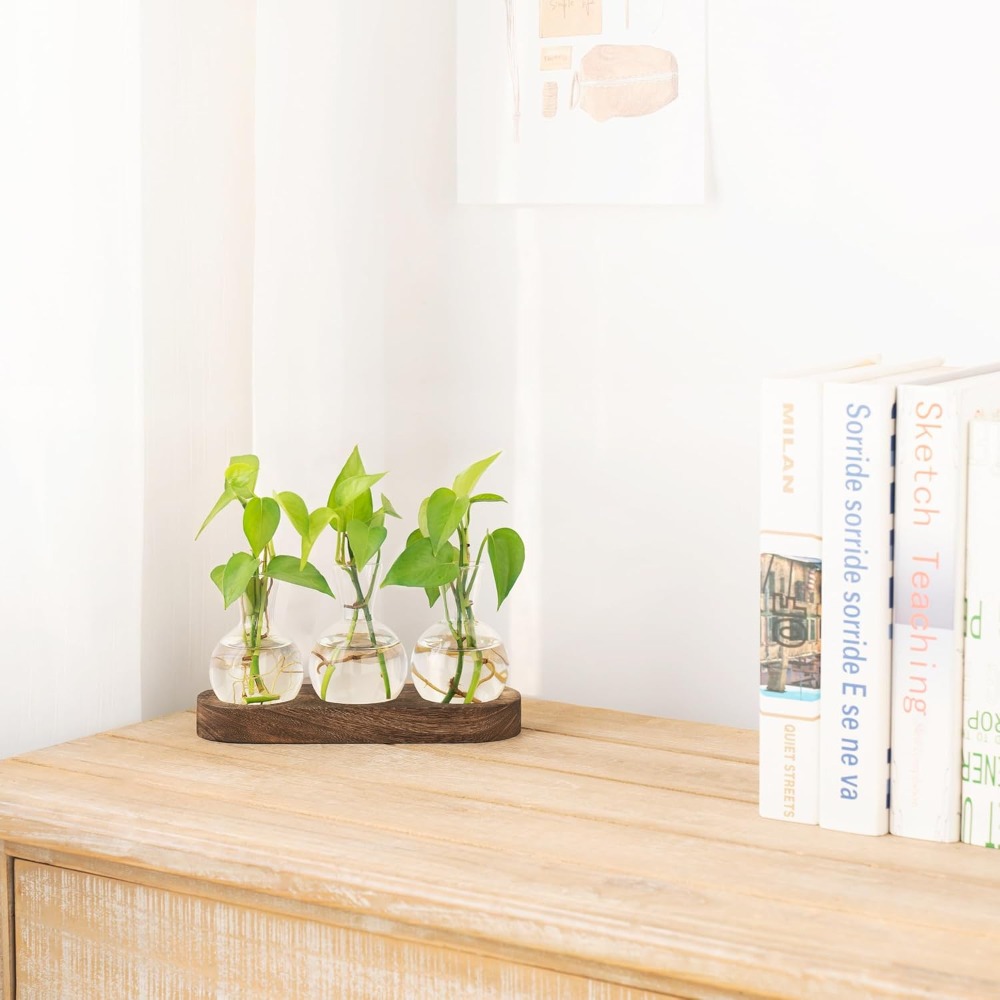 Desktop Plant Propagation Stat - Propagation Station Vase บทวิจารณ์และราคา