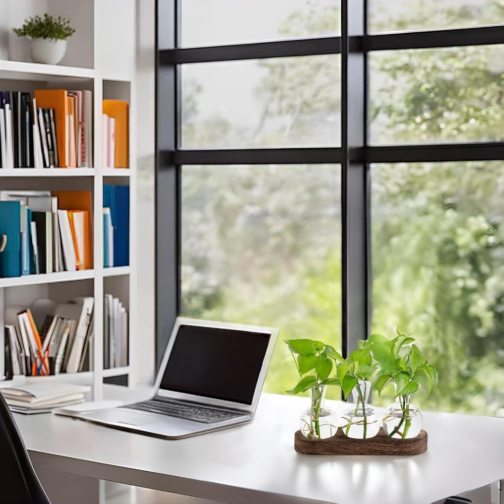 Desktop Plant Propagation Stat - Propagation Station Vase บทวิจารณ์และราคา