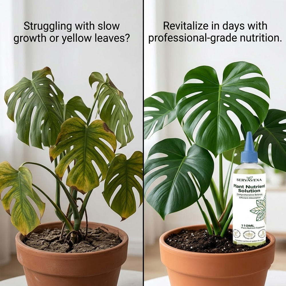 Plant  Nutrient Solution Rapid - Root Stimulator Liquid บทวิจารณ์และราคา