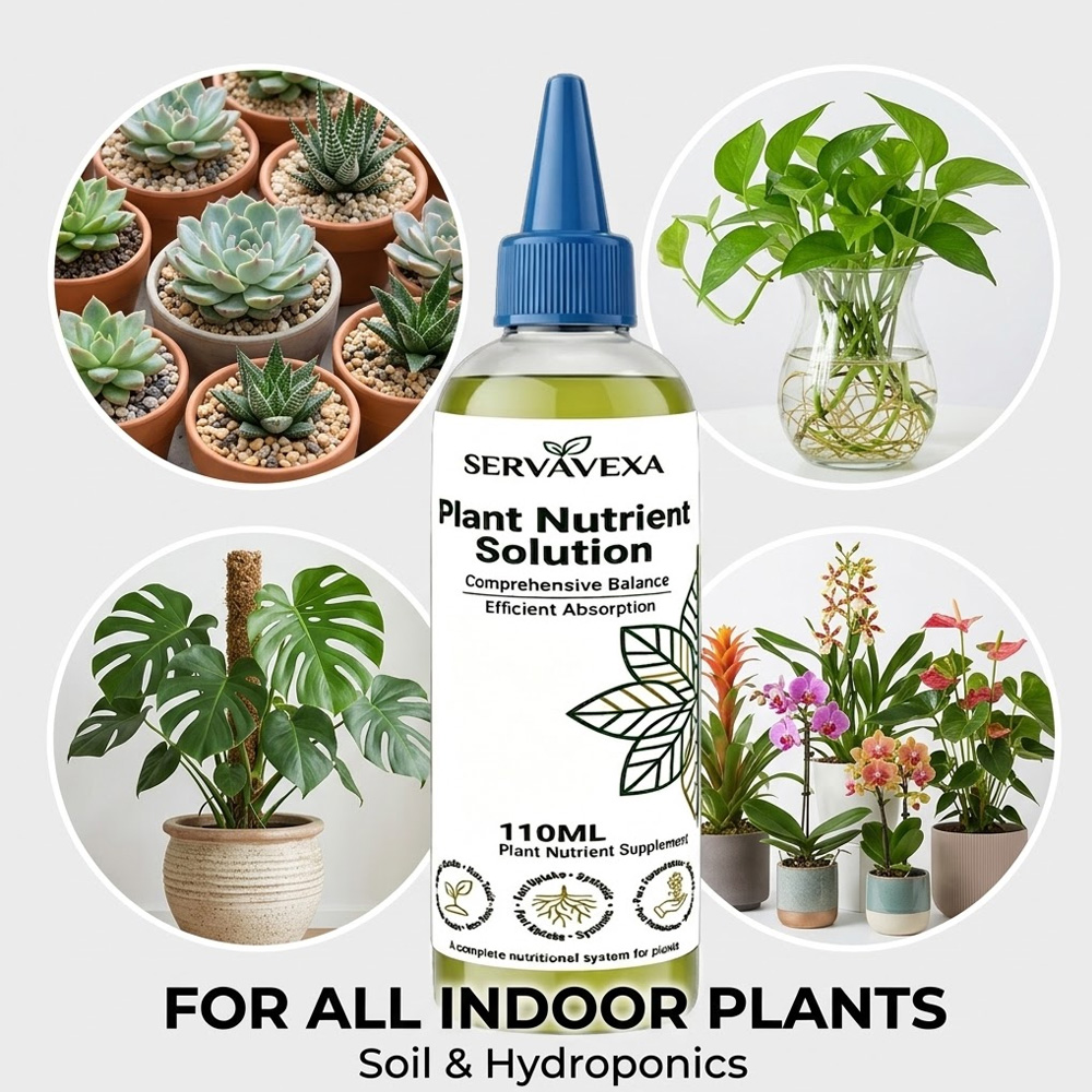 Plant  Nutrient Solution Rapid - Root Stimulator Liquid บทวิจารณ์และราคา