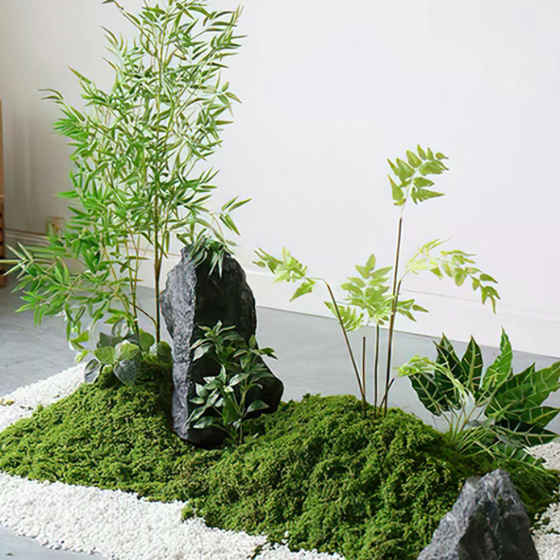 50g Fake Moss DIY Crafts Grass - Sphagnum Moss Dry บทวิจารณ์และราคา