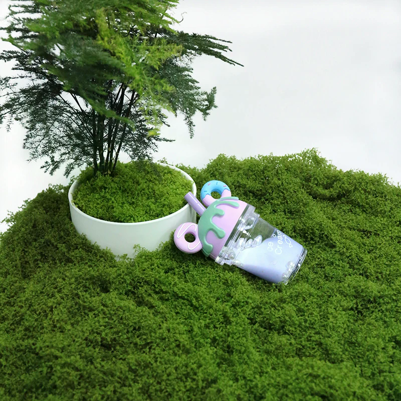 50g Fake Moss DIY Crafts Grass - Sphagnum Moss Dry บทวิจารณ์และราคา