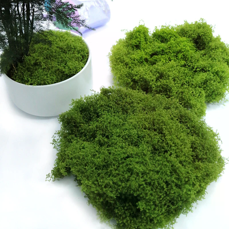 50g Fake Moss DIY Crafts Grass - Sphagnum Moss Dry บทวิจารณ์และราคา