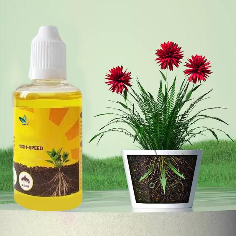 50ml Plant Root Stimulator Liq - Root Stimulator Liquid บทวิจารณ์และราคา