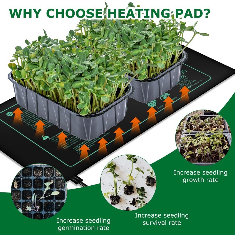 Seedling Heating Mat  Indoor P - Rooting Gel Clone บทวิจารณ์และราคา