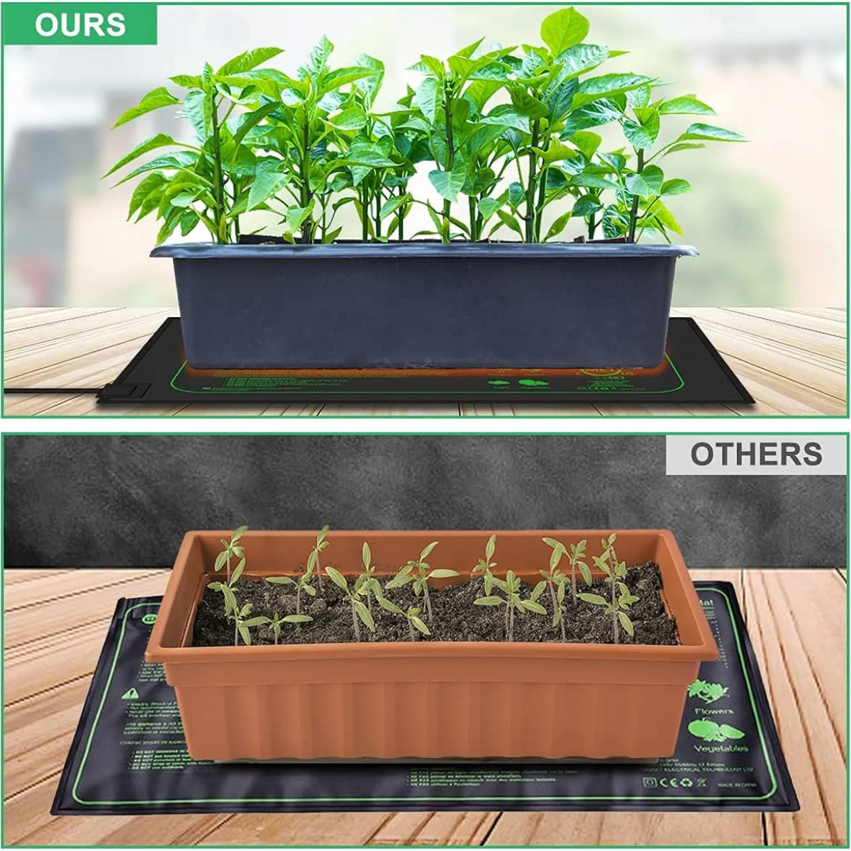 Seedling Heating Mat  Indoor P - Rooting Gel Clone บทวิจารณ์และราคา